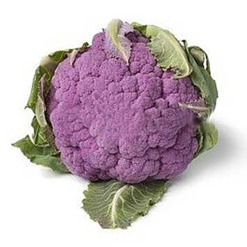 Purple Cauliflower